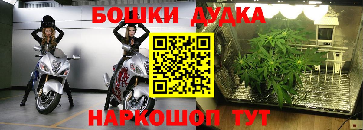 МАРИХУАНА White Widow  Бошки Шишки планчик  МАРИХУАНА THC 21%  Вход с VPN  Алапаевск  Марихуана SATIVA & INDICA 